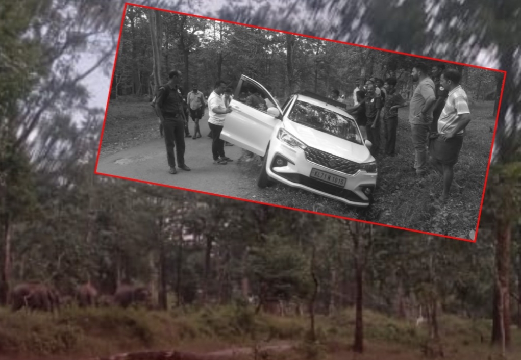 കാറിന് നേരെ പാഞ്ഞടുത്ത് കാട്ടാന