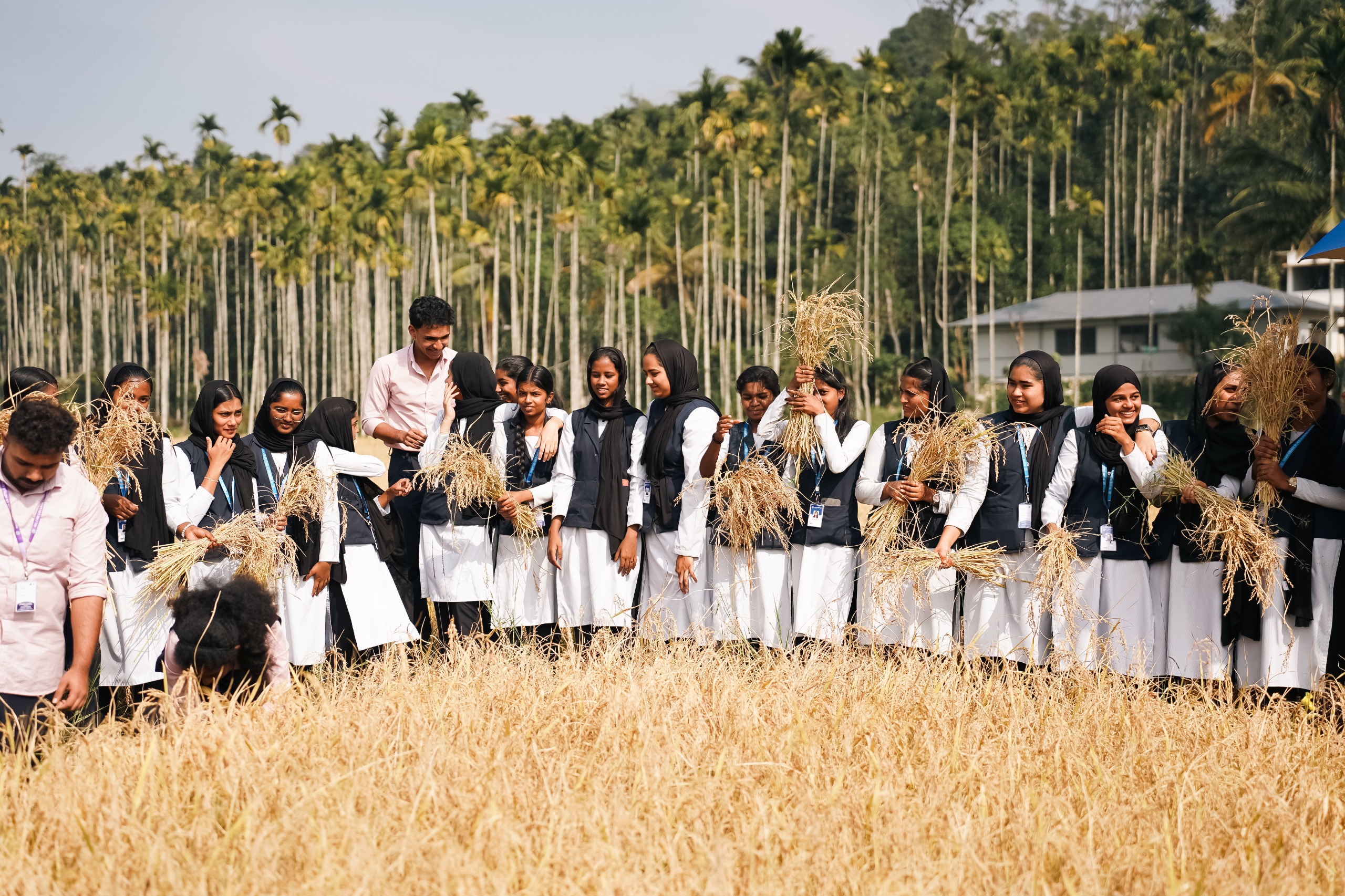 ആറാം വർഷവും കൊയ്ത്തുത്സവം വിപുലമായി ആഘോഷിച്ച് നീലഗിരി കോളേജ് അധ്യാപകരും വിദ്യാർത്ഥികളും
