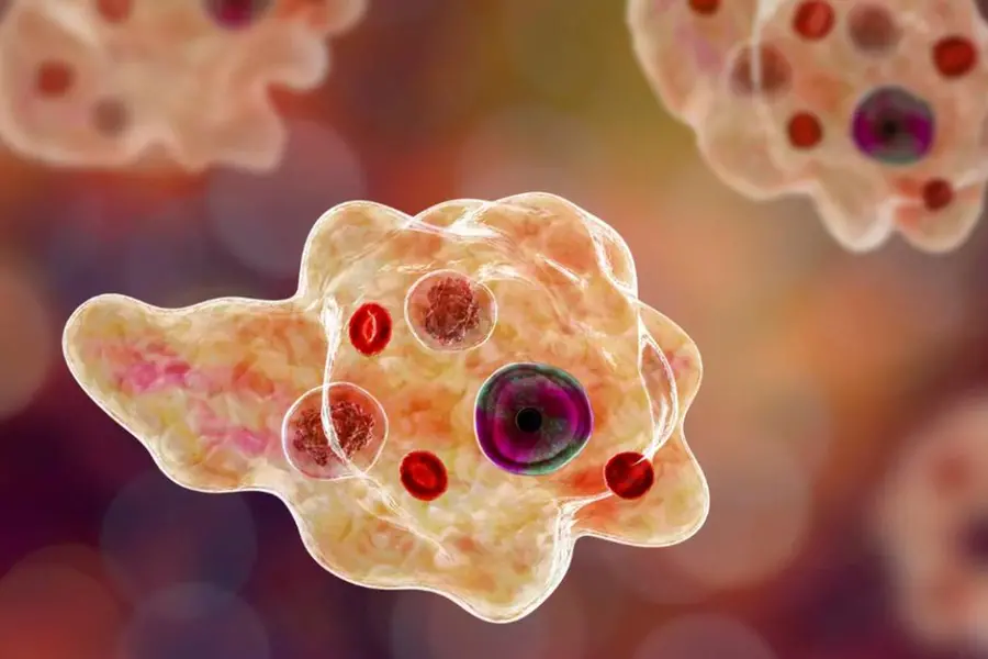 സംസ്ഥാനത്ത് വീണ്ടും അമീബിക് മസ്തിഷ്കജ്വര മരണം, മരിച്ചത് കോഴിക്കോട് സ്വദേശി