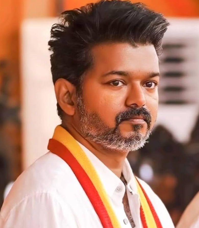 വിജയ് നയിച്ച റാലിയിൽ അപകടം; 6 പേർക്ക് പരിക്ക്