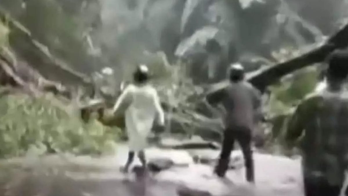 താമരശ്ശേരി ചുരത്തില്‍ മരം വീണു; മണിക്കൂറുകളോളം ഗതാഗതക്കുരുക്ക്
