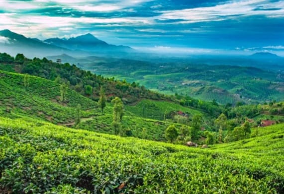 വയനാടിന്റെ വികസനഭാവിക്ക് ദിശപാകിയ ബജറ്റ്: കൃഷിമന്ത്രി ടി.സിദ്ദിഖ്