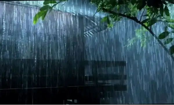 സംസ്ഥാനത്ത് വീണ്ടും കാലവര്ഷം ശക്തിപ്രാപിക്കുന്നു; ഇന്ന് മുതല് ഒറ്റപ്പെട്ടയിടങ്ങളില് ശക്തമായ മഴയ്ക്ക് സാധ്യത