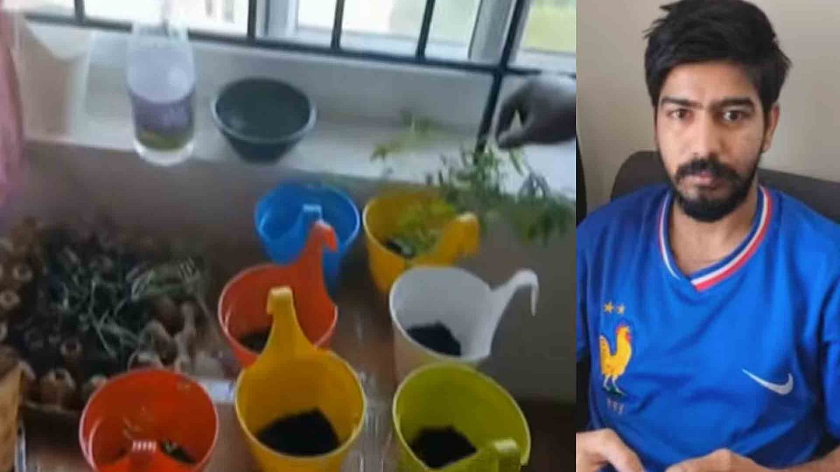 പകല്‍ ഐടി കമ്പനി മാനേജര്‍, രാത്രി ഫ്‌ലാറ്റില്‍ കഞ്ചാവു കൃഷി; പാലില്‍ ചേര്‍ത്ത് കുടിക്കുമെന്ന് മൊഴി, അറസ്റ്റ്