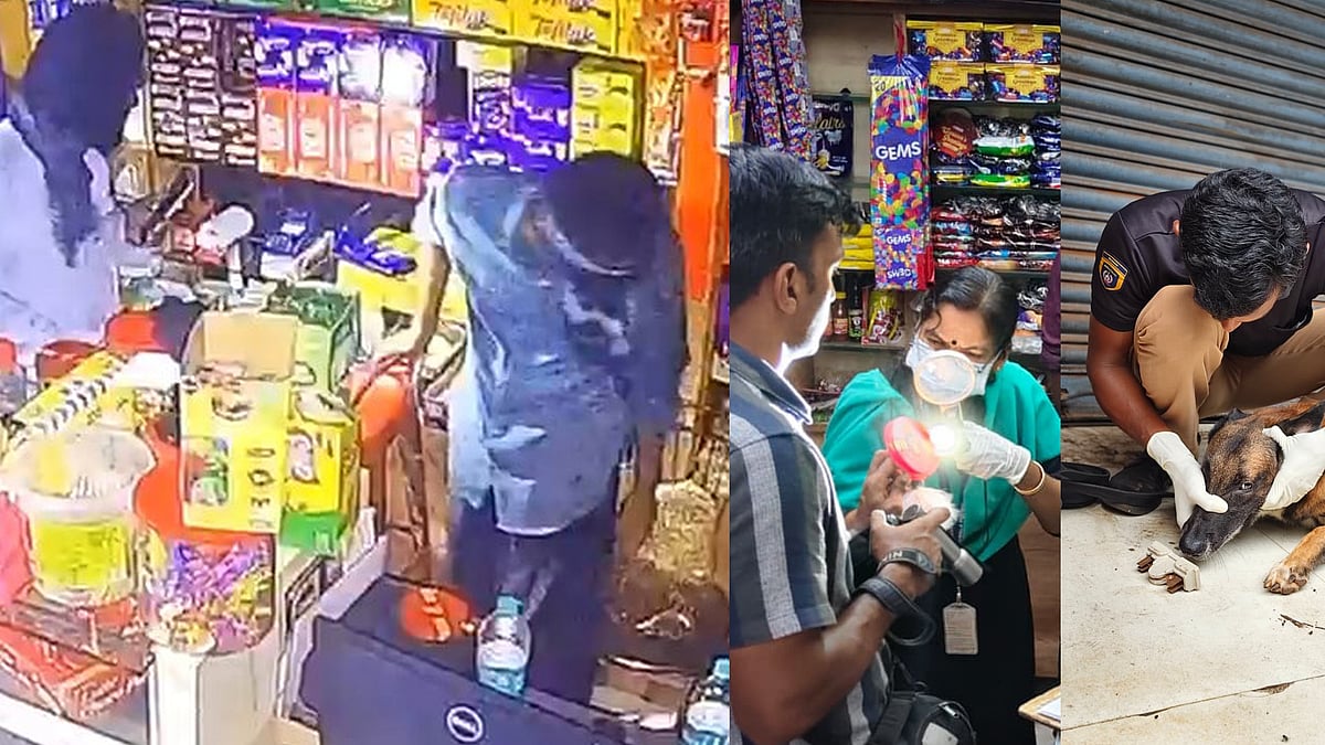 അർധരാത്രി ബേക്കറിയിൽ മുഖംമൂടിയിട്ട കള്ളൻമാർ; ചോക്ലേറ്റ് വാരി പോക്കറ്റിലിട്ടു; 21,000 രൂപയും ഫോണും അടിച്ചുമാറ്റി