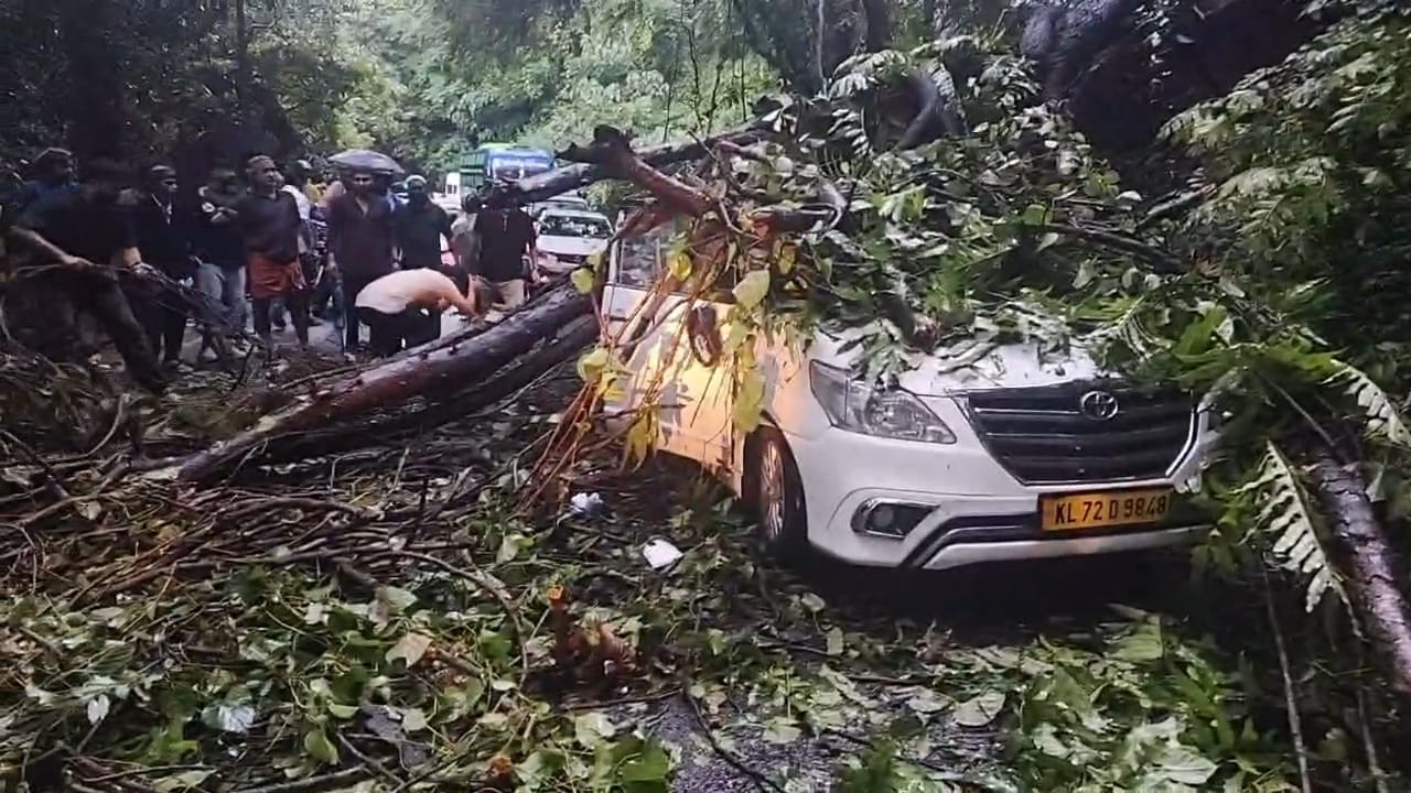 താമരശ്ശേരി ചുരം ഗതാഗതം പുനഃസ്ഥാപിച്ചു: മരം വീണ് കുട്ടിക്ക് പരിക്ക്, വാഹനത്തിരക്ക് തുടരുന്നു