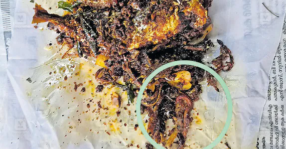 പൊലീസ് കന്റീനിലെ ഭക്ഷണത്തിൽ അട്ട; കണ്ടെത്തിയത് പൊലീസുകാരൻ വാങ്ങിയ മീൻ ഫ്രൈയില്: കന്റീൻ പൂട്ടിച്ചു