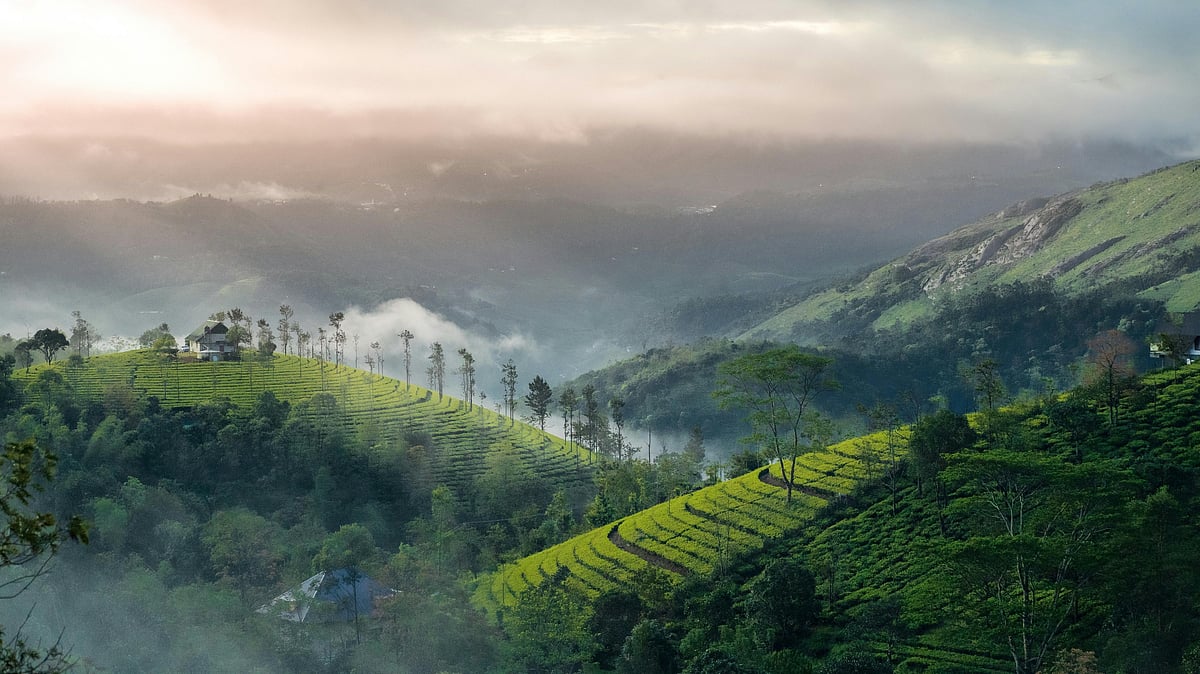 മൂന്നാറില് ശനിയാഴ്ച മുതല് പ്ലാസ്റ്റിക് നിരോധനം; ലംഘിക്കുന്നവര്ക്ക് വന് പിഴ