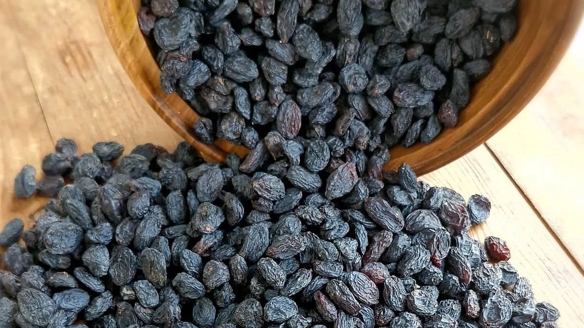 ദിവസവും രാവിലെ ഉണക്കമുന്തിരി കുതിർത്തത്; ചില്ലറയല്ല ആരോഗ്യഗുണങ്ങൾ