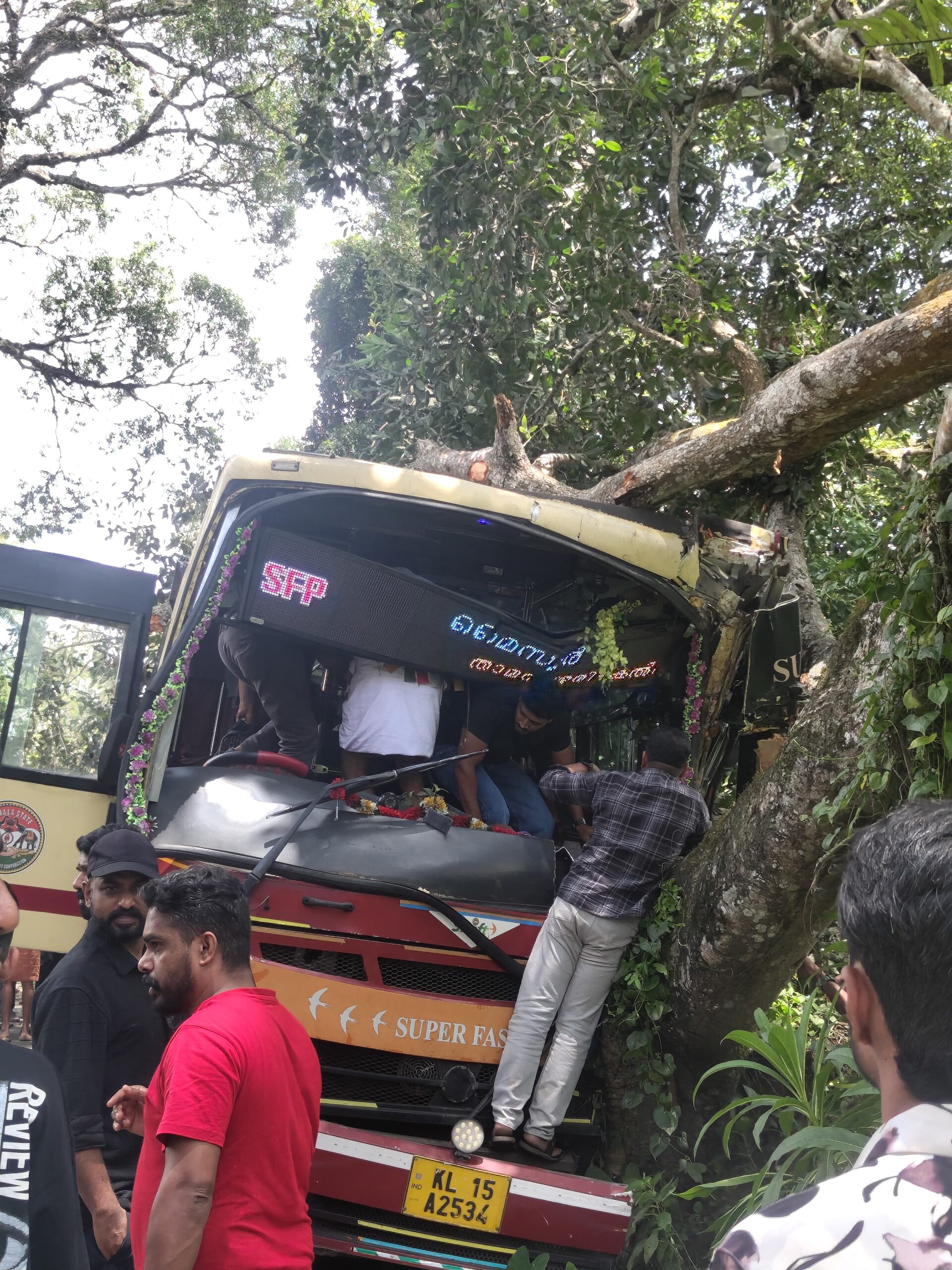 വയനാട് മൂലങ്കാവിൽ നിയന്ത്രണം വിട്ട KSRTC ബസ് മരത്തിലിടിച്ച് അപകടം; രണ്ട് പേർക്ക് പരിക്ക്