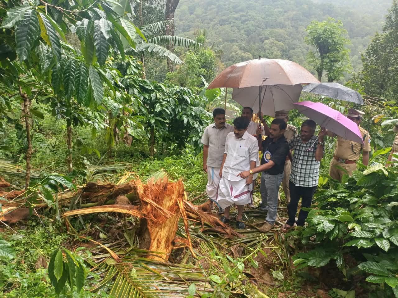 കാട്ടാന ആക്രമണം, കൃഷിമന്ത്രി അഡ്വ ടി സിദ്ദിഖ് സ്ഥലം സന്ദർശിച്ചു