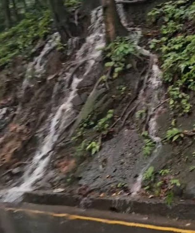 കോഴിക്കോട് മലയോര മേഖലയില് പെരുമഴ; മണ്ണിടിച്ചില്; താമരശേരി ചുരത്തില് ഗതാഗത നിയന്ത്രണം