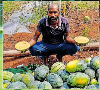 കുടുംബശ്രീയുടെ കടുംകൈ; കർഷകന് പണം നൽകാതെ കബളിപ്പിച്ചതായി പരാതി