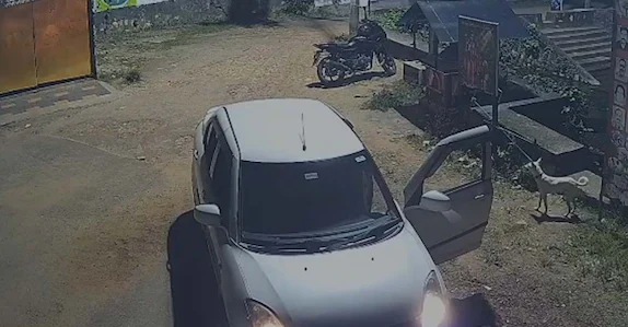 കാറിൽ കൊണ്ടുവന്നിറക്കിവിട്ടു, പിന്നാലെ ഓടി നായ; ഇടിച്ചു കൊലപ്പെടുത്തി, ടയർ കയറിയിറങ്ങിയത് നിരവധി തവണ