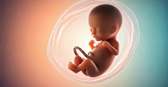 ഗർഭഛിദ്രത്തിന് മരുന്ന്, പിന്നാലെ രക്തസ്രാവം; അവിവാഹിത ശുചിമുറിയിൽ പ്രസവിച്ചു; ഭ്രൂണം പുറത്തെടുത്തത് ക്ലോസറ്റ് പൊളിച്ച്