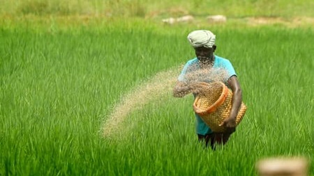 പുത്തന്‍ പ്രതീക്ഷകളുമായി പൊന്നിന്‍ ചിങ്ങം പിറന്നു; ഇനി ഓണനാളുകള്‍
