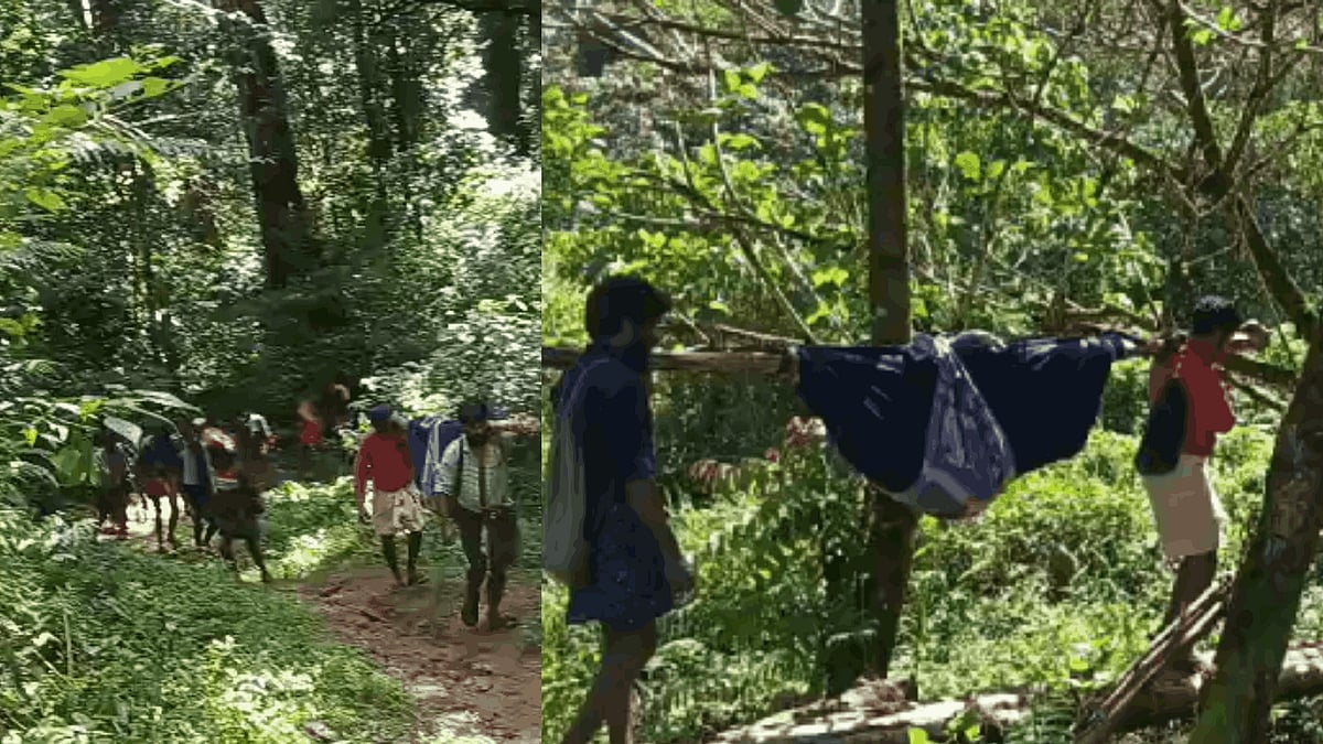 വീണ്ടും ദുരിതയാത്ര; പനി ബാധിച്ച വീട്ടമ്മയെ കാട്ടിലൂടെ ചുമന്നത് 7 കിലോമീറ്റർ; ഒരു മാസത്തിനിടെ മൂന്നാമത്തെ സംഭവം