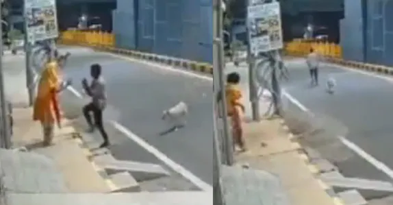 മാനസിക വെല്ലുവിളി നേരിടുന്ന യുവതിയെ പീഡിപ്പിക്കാൻ ശ്രമം; രക്ഷയായത് തെരുവുനായ്ക്കൾ: പ്രതി പിടിയിൽ