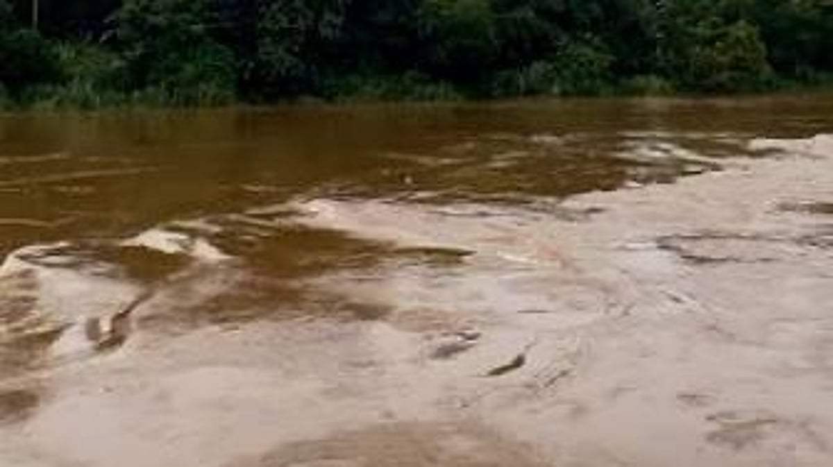 പുഴയുടെ ആഴത്തില്‍ നിന്ന് മൂന്ന് ജീവന്‍ കോരിയെടുത്ത് ഷാജി