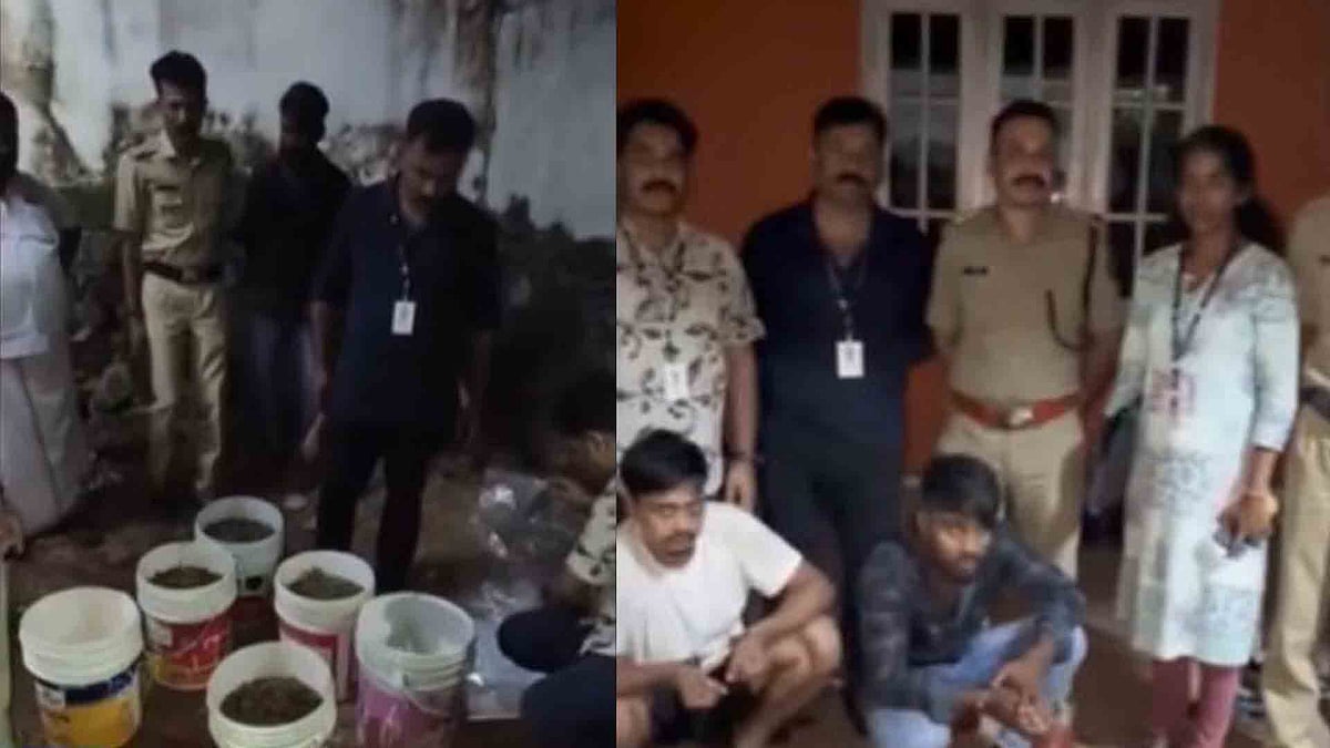 പെയിന്റ് ബക്കറ്റുകളില് ഒളിപ്പിച്ചത് 16 കിലോ കഞ്ചാവ്; വന് ലഹരിവേട്ട