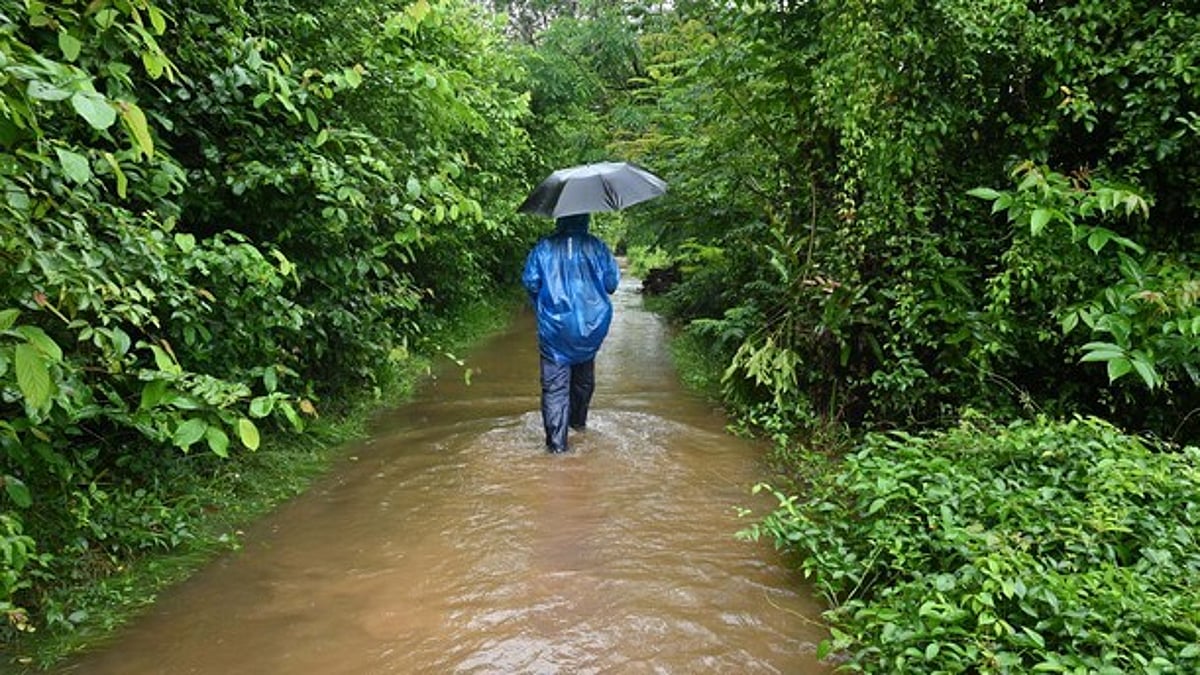 ഒന്‍പത് ജില്ലകളില്‍ തീവ്രമഴ മുന്നറിയിപ്പ്; അഞ്ചിടത്ത് യെല്ലോ അലര്‍ട്ട്; ശക്തമായ ഇടിമിന്നലിനും കാറ്റിനും സാധ്യത; ജാഗ്രത